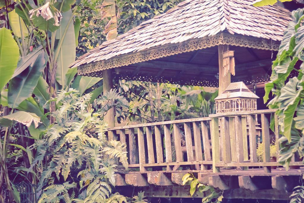 Fig Tree Hills Resort Bayan Lepas Exterior photo